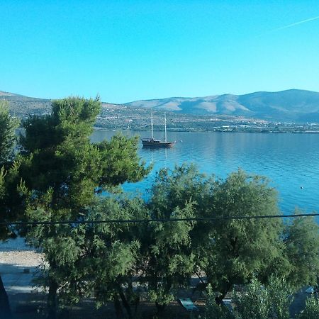 Apartment Nikica Trogir Bagian luar foto